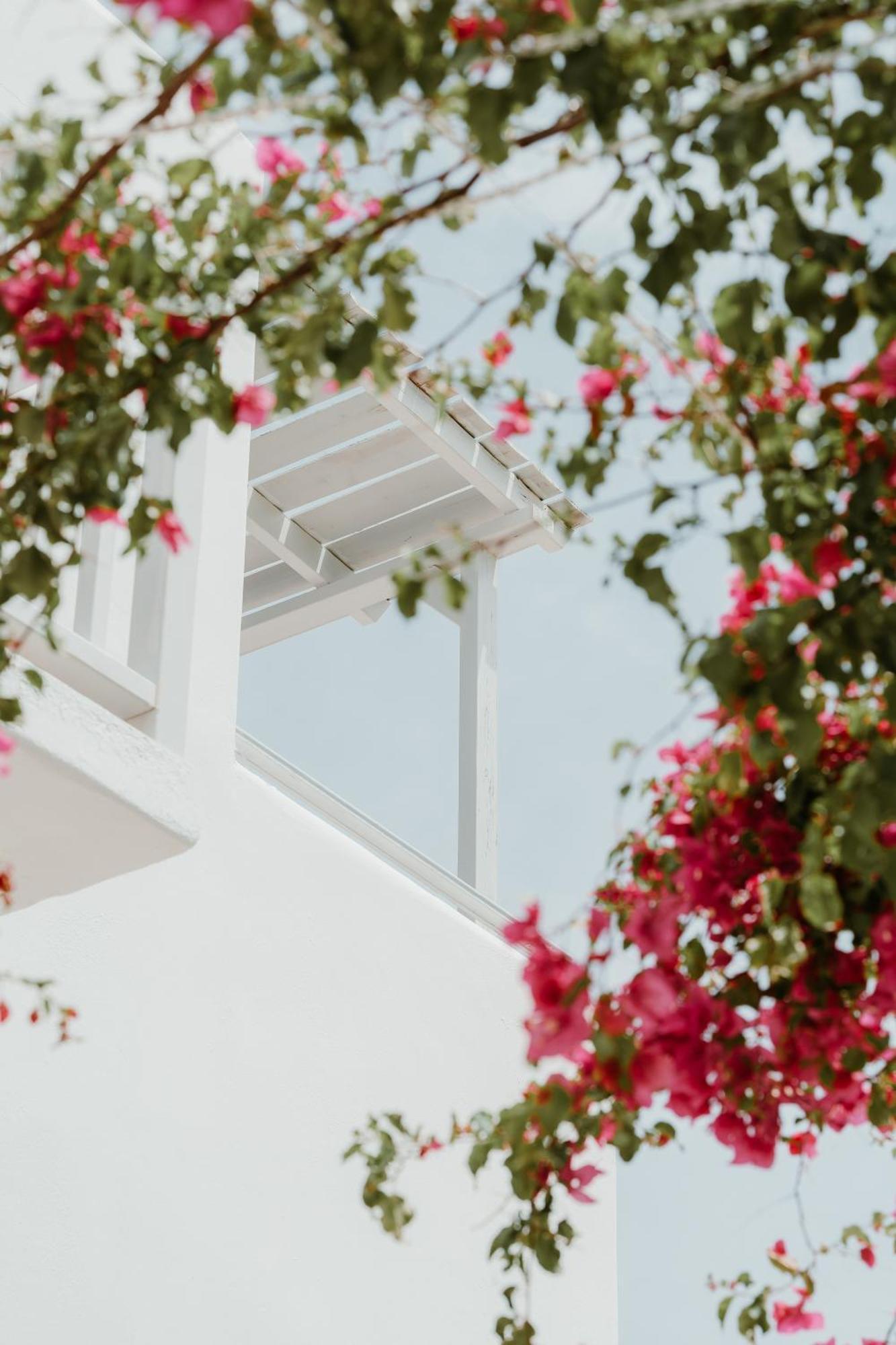 Mr And Mrs White Paros Hotel Naousa  Exterior photo