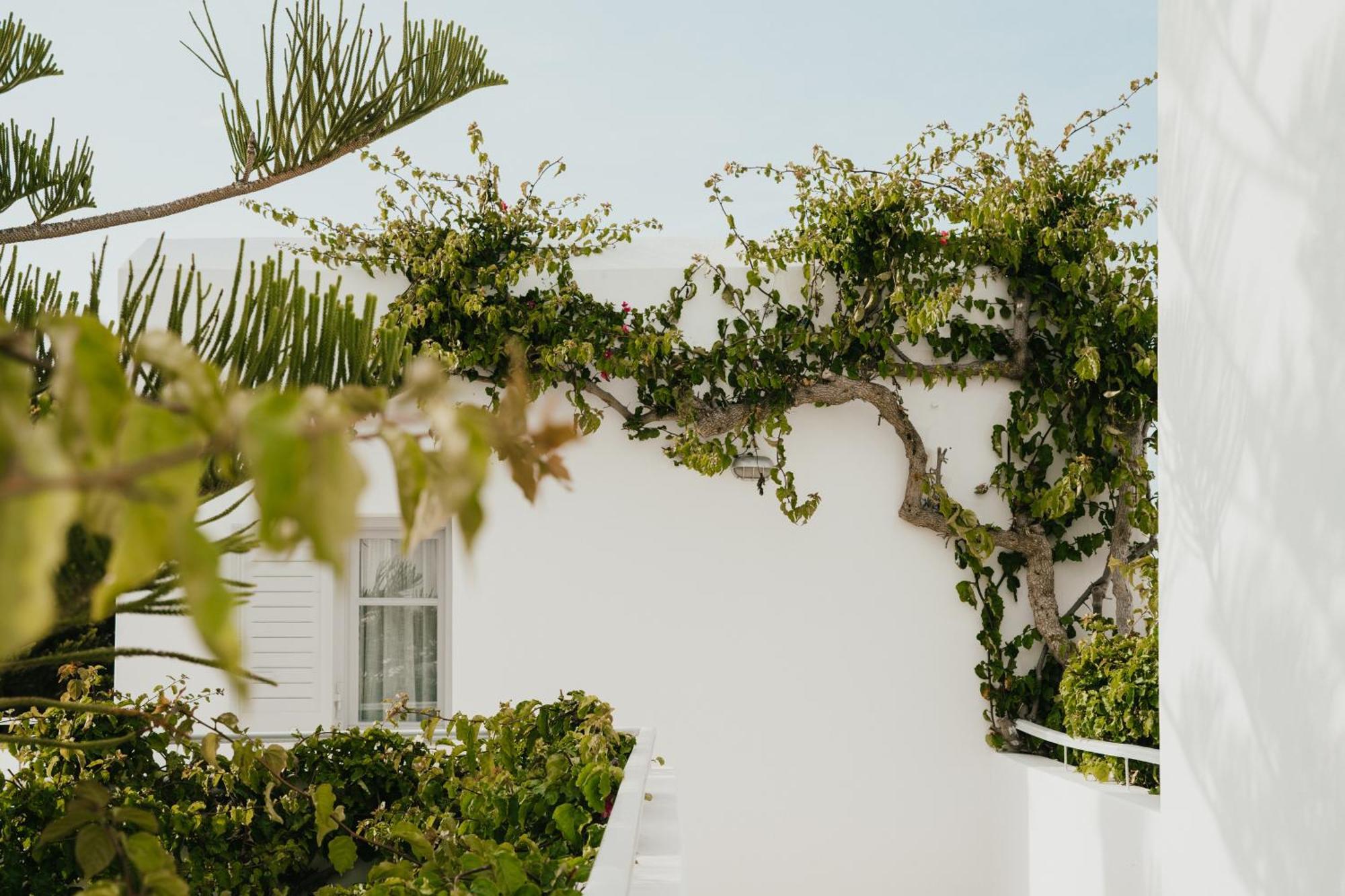 Mr And Mrs White Paros Hotel Naousa  Exterior photo